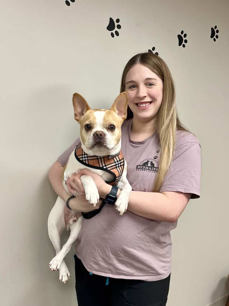 A woman in a mauve shirt holds a French Bulldog with a plaid harness, standing in front of a wall decorated with black paw prints.