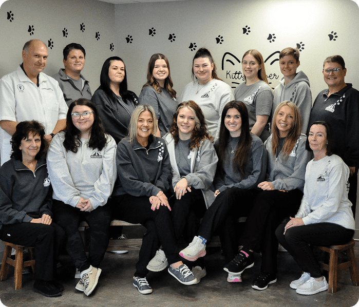 A group of fifteen people, wearing matching gray and white shirts with logos, pose together indoors in front of a wall with paw prints and a “Kitty” sign.