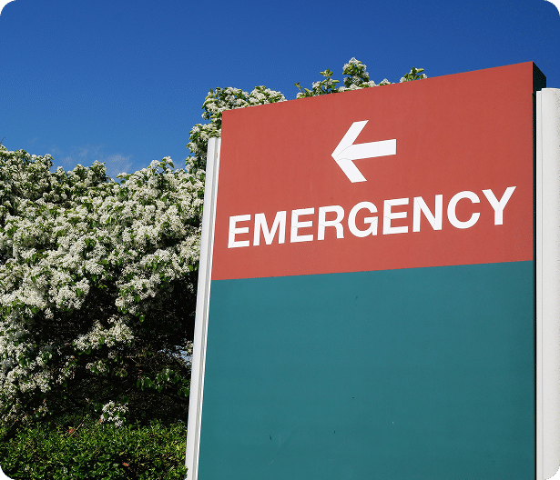 A sign with the word "EMERGENCY" and a left-pointing arrow stands outdoors, with green foliage and white flowers in the background.