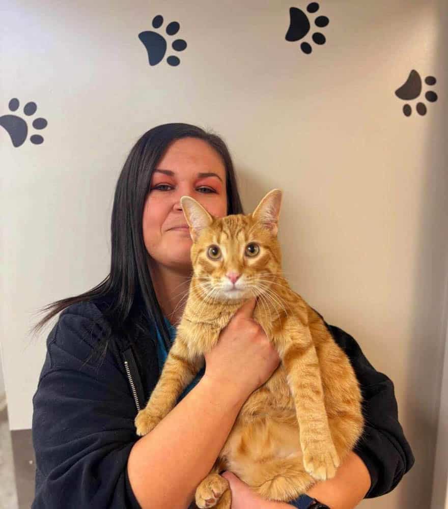 A woman with long dark hair holds an orange tabby cat in front of a wall decorated with black paw prints.
