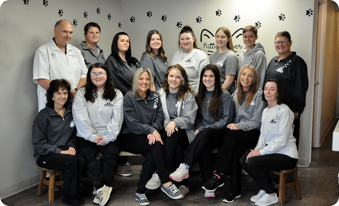 A group of fourteen people, mostly women, pose for a group photo indoors, wearing matching gray attire. Paw prints and the words "kitty corner" are visible on the wall behind them.