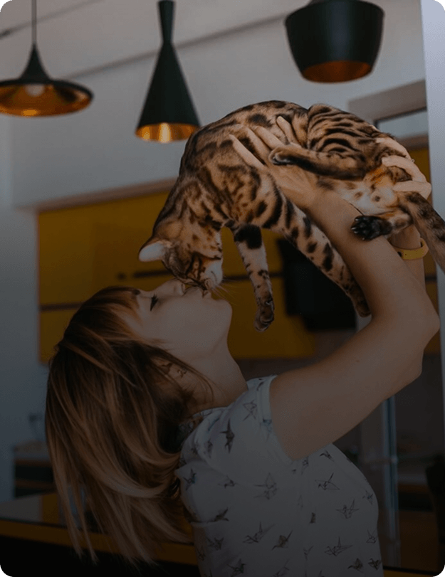 A woman lifts a Bengal cat up to her face in a modern kitchen, touching noses with the cat.