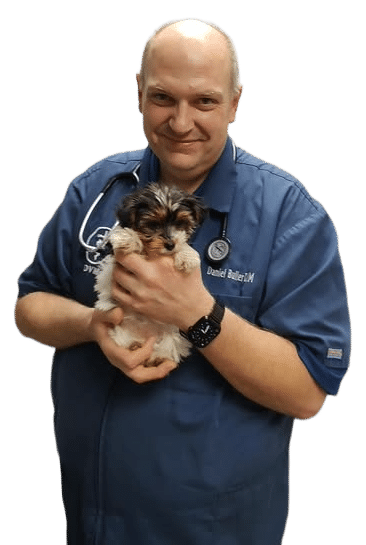A veterinarian in a blue uniform holding a small, fluffy puppy and smiling at the camera.